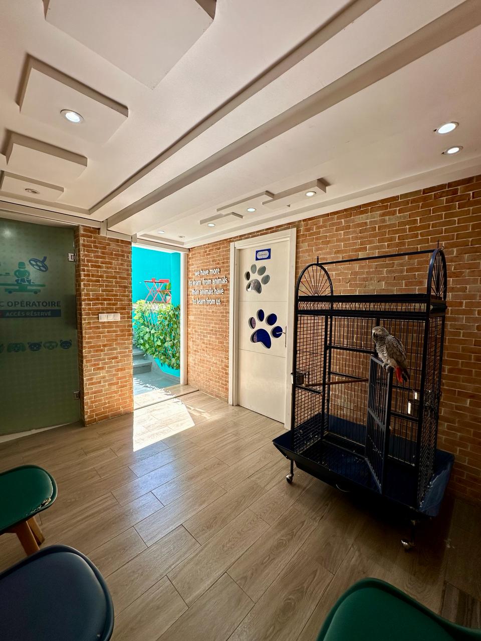 WhatsApp Image 2024-03-12 at 11.44.44_8e15c542