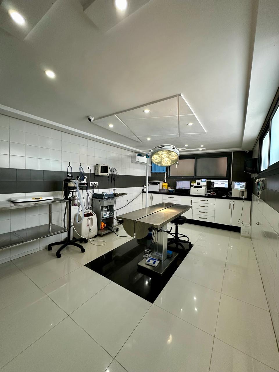 WhatsApp Image 2024-03-12 at 11.44.44_ddc39e07